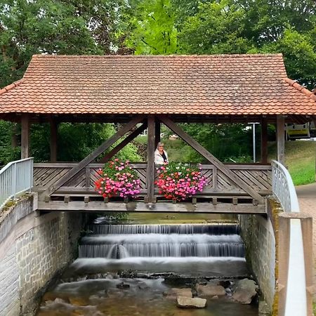 Ferienwohnung Haffner Kandern Bagian luar foto